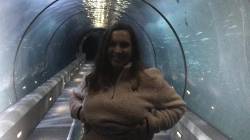 Un In The Shark Tunnel ?